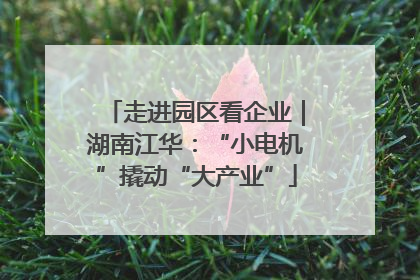 走进园区看企业｜湖南江华：“小电机”撬动“大产业”